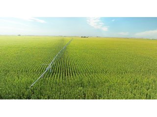 Tract 3 - Edwards County, KS farmland - LAND AUCTION - 647+/- ACRES OFFERED IN 4 TRACTS IN RENO & EDWARDS COUNTY, KANSAS